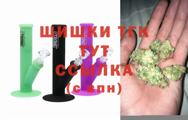 мет Алексин