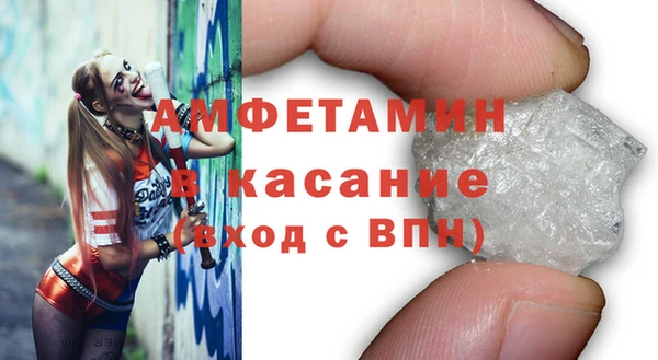 мет Алексин